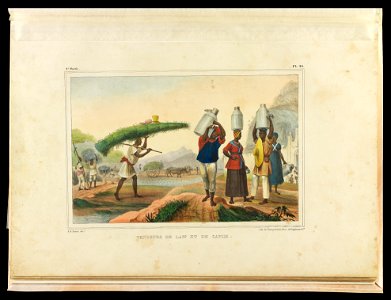 Vendeurs de lait et de capim (1), da Coleção Brasiliana Iconográfica