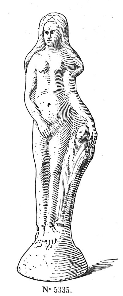 VenuS genitrix 42336