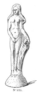 VenuS genitrix 42336
