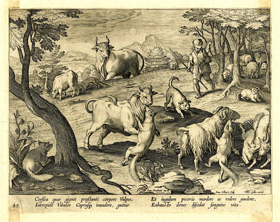 Venationes Ferarum, Avium, Piscium (BM 1957,0413.70)