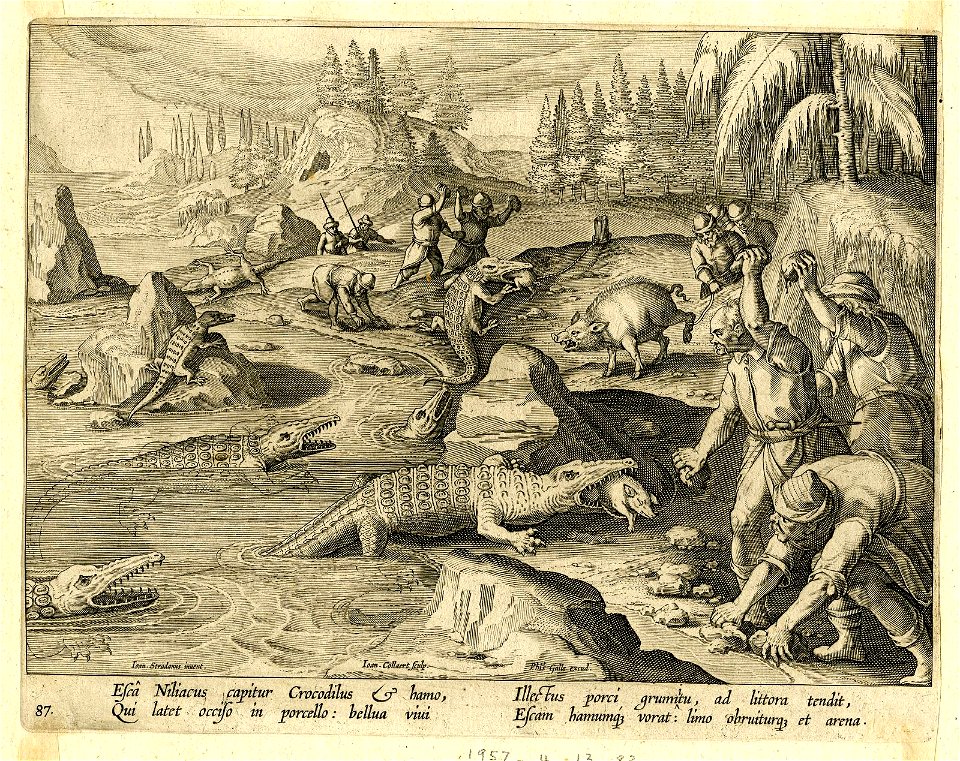 Venationes Ferarum, Avium, Piscium (BM 1957,0413.83)