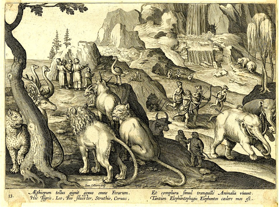 Venationes Ferarum, Avium, Piscium (BM 1957,0413.48)