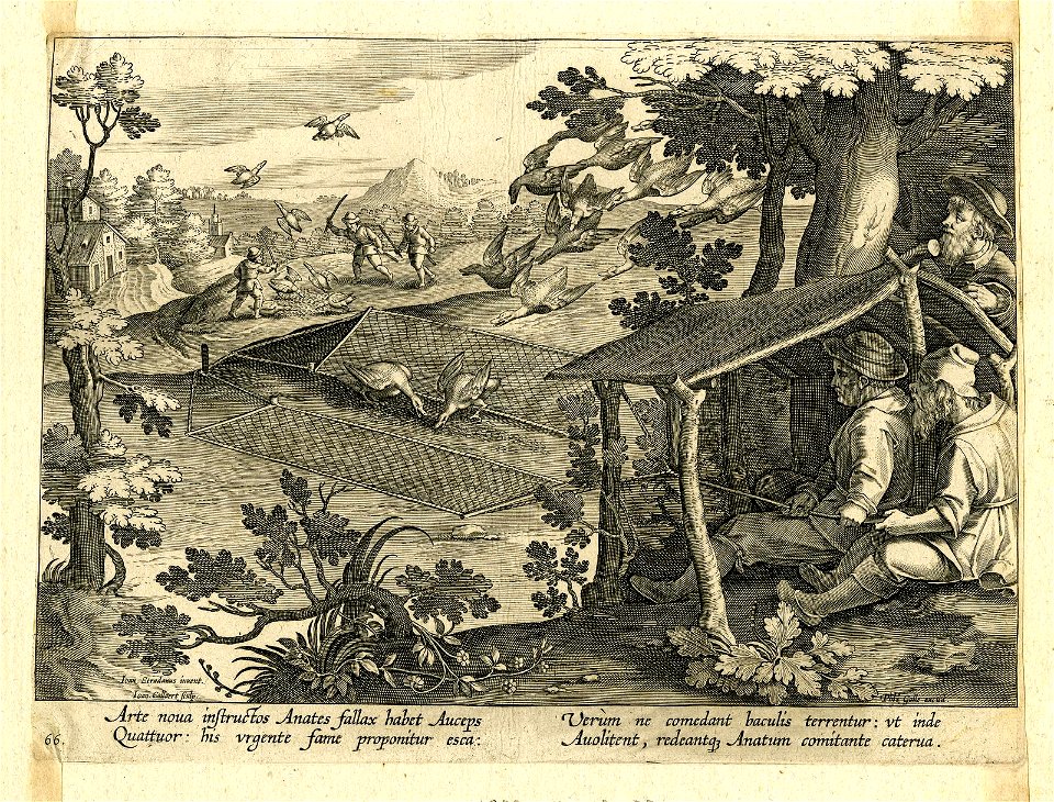 Venationes Ferarum, Avium, Piscium (BM 1957,0413.75)