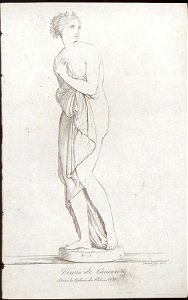 Venus de Canova. Dans la Galeria du Palais Pitti, objectnr A 59372