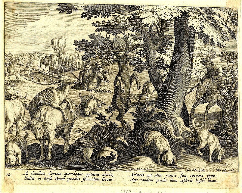 Venationes Ferarum, Avium, Piscium (BM 1957,0413.64)