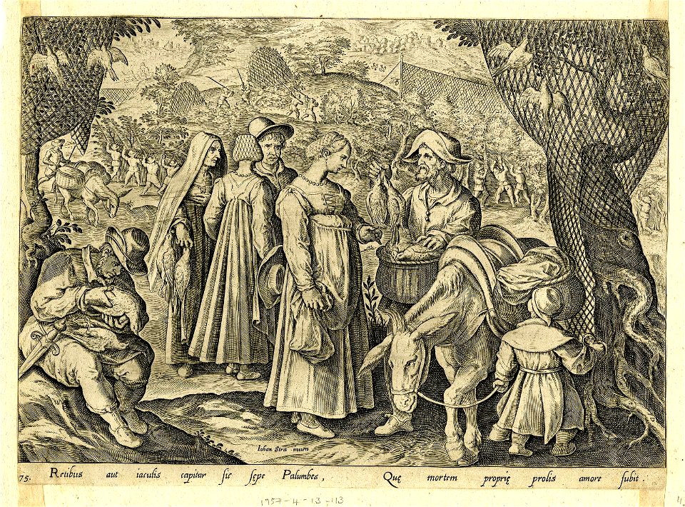 Venationes Ferarum, Avium, Piscium (BM 1957,0413.113)