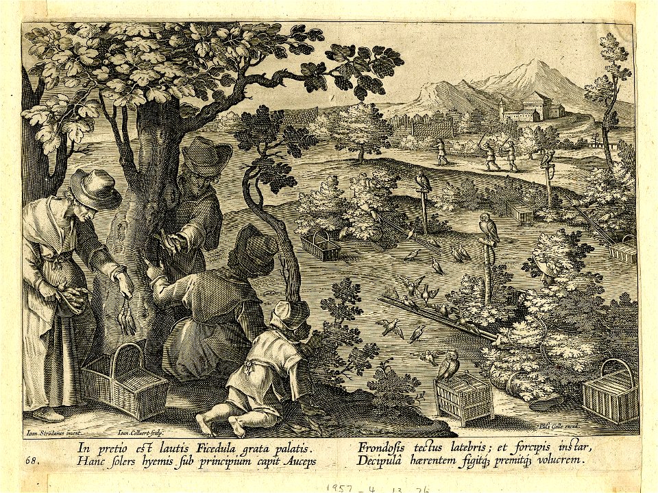 Venationes Ferarum, Avium, Piscium (BM 1957,0413.76)