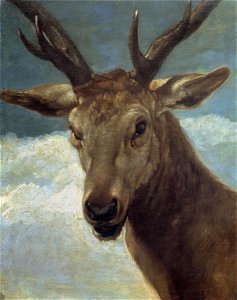 Velázquez - Cabeza de venado (Museo del Prado, 1626-28)