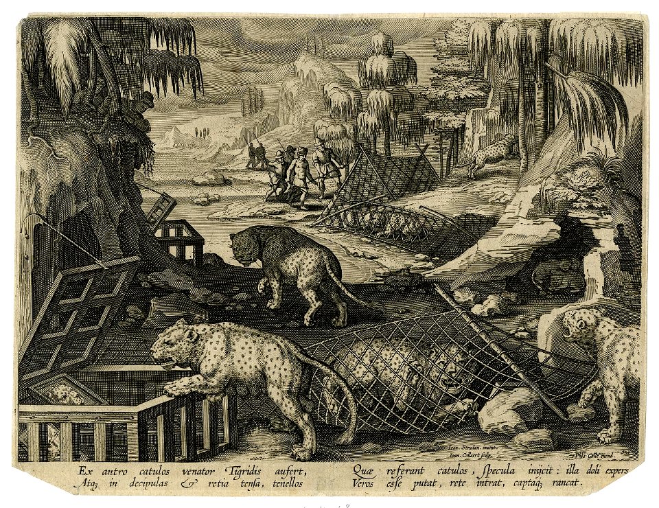 Venationes Ferarum, Avium, Piscium (BM 1901,0611.48)
