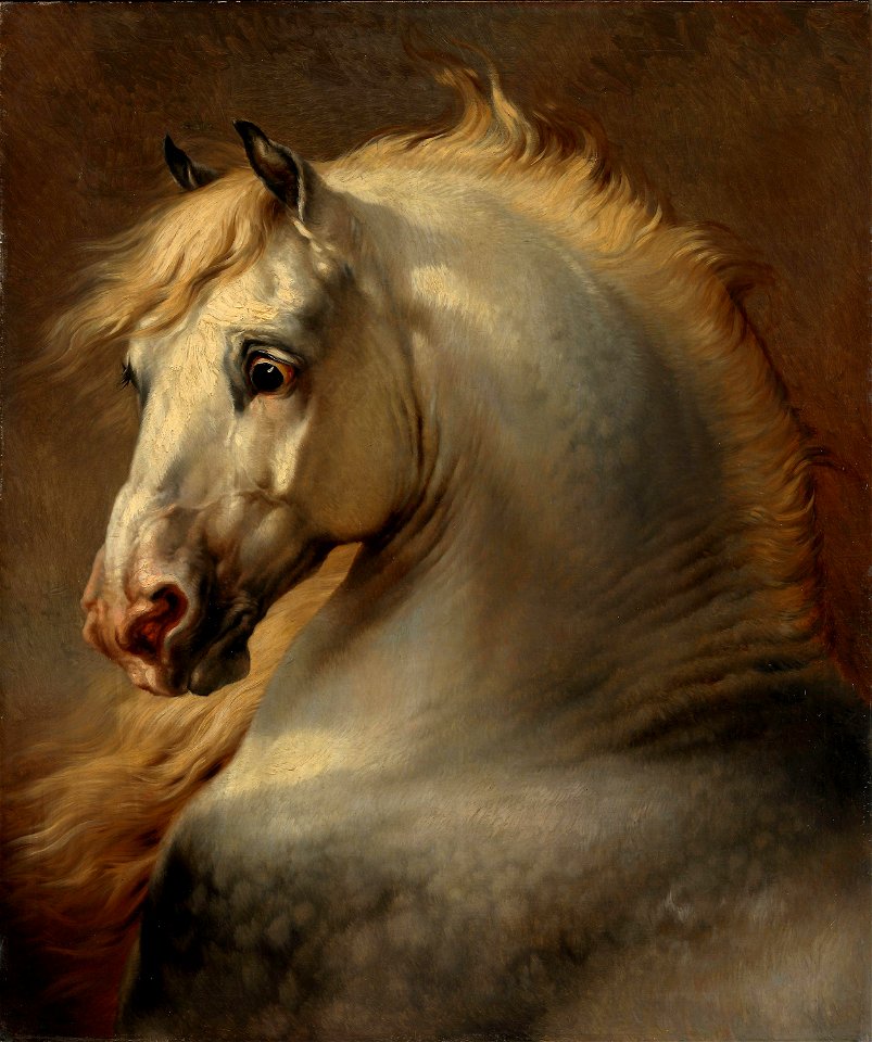 Eugène Verboeckhoven - Head of a Horse - NG.M.00486 - National Museum of Art, Architecture and Design