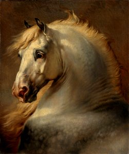 Eugène Verboeckhoven - Head of a Horse - NG.M.00486 - National Museum of Art, Architecture and Design. Free illustration for personal and commercial use.