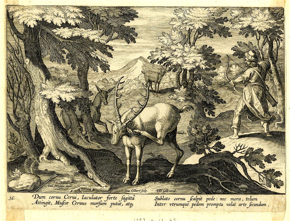 Venationes Ferarum, Avium, Piscium (BM 1957,0413.65)