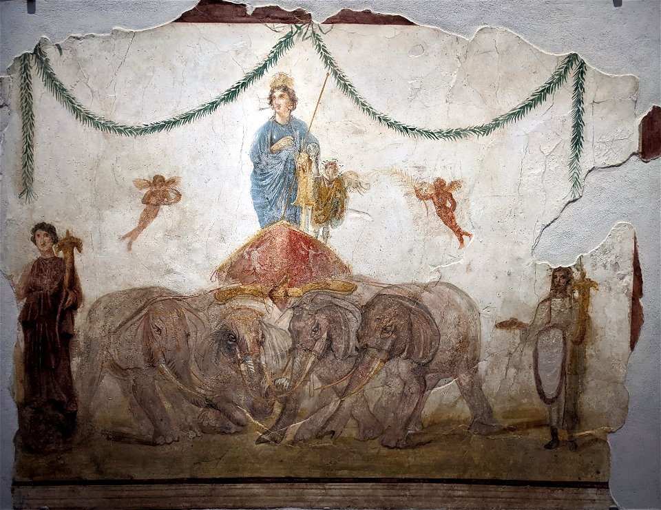 Venus sur un char tiré par des élpéhants - Pompéi - Atelier des Feutriers