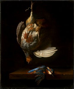 Simon Peeterz. Verelst - Still Life with Dead Partridge and Kingfisher - 90.202 - Museum of Fine Arts