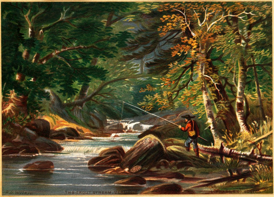 Vermont Scenery, The Trout Stream, Vermont 2 (Boston Public Library)