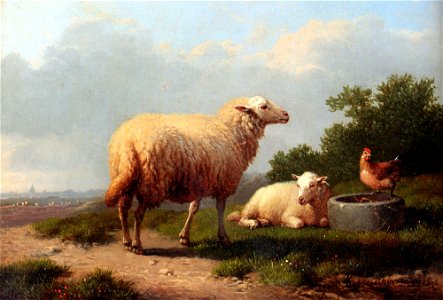 Verboeckhoven Eugene Sheep In A Meadow