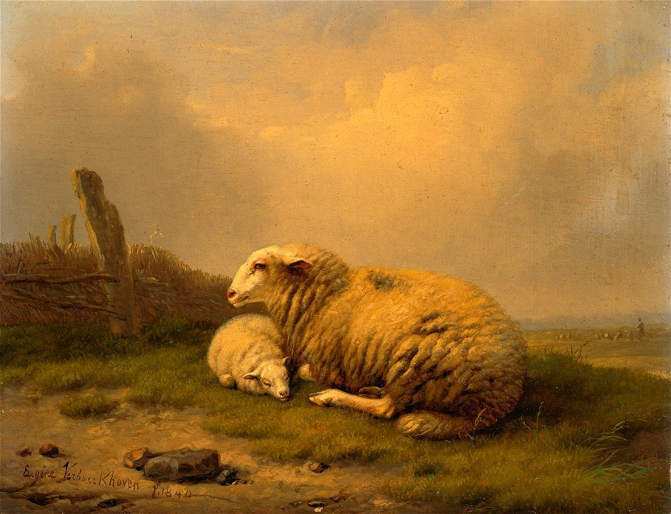 SA 1033-Een rustend schaap en een lam