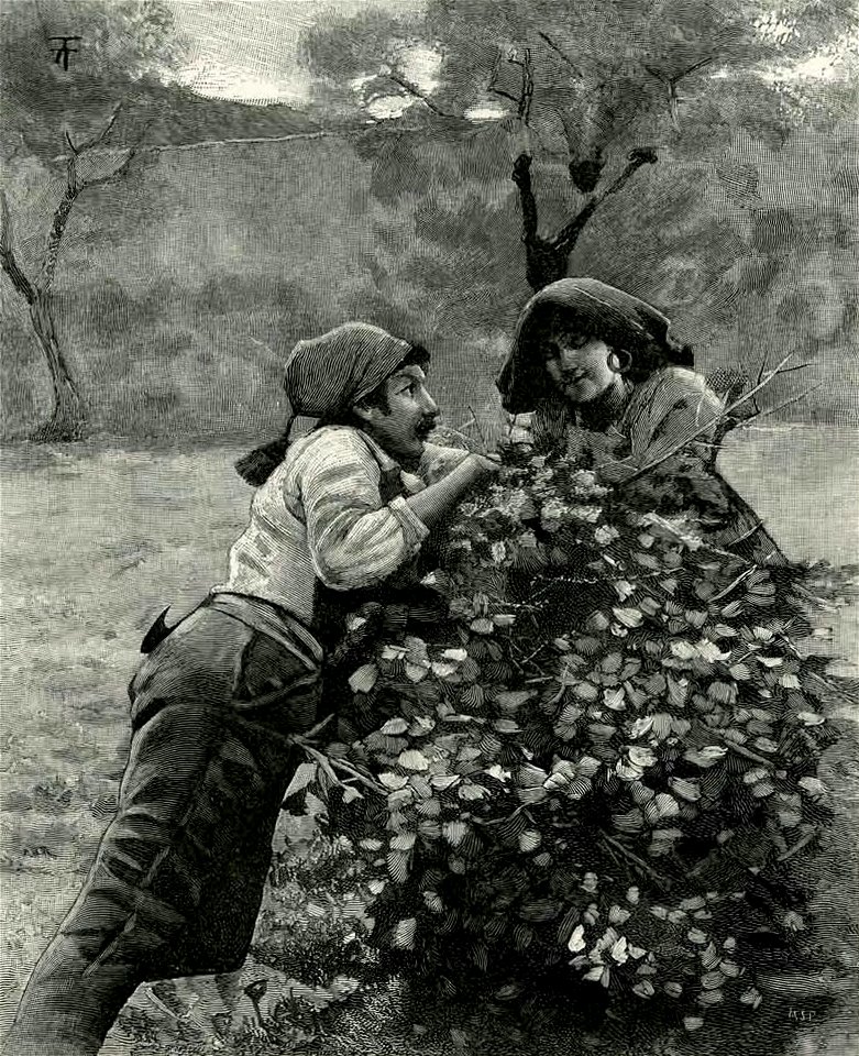 Verga - Vita dei campi, Treves, 1897 (page 14 crop)