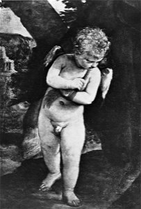 Veronese - Amore, Collezione privata, Pontremoli