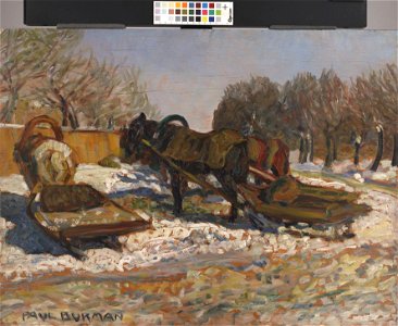 Veohobused, Paul Burman, TKM TR 341 M 113