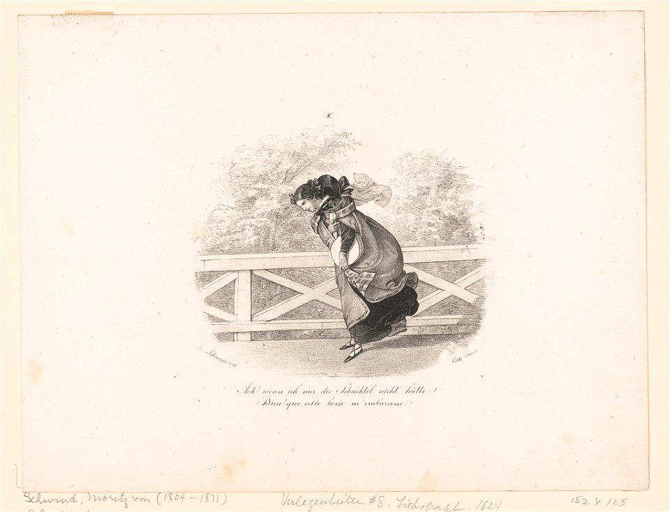 Verlegenheiten. No. 8, Ach! wenn ich nur die Schachtel nicht hätte Dieu! Que celle boile m'embarasse - - M. Schwind del. ; lith. Inst. LCCN2012649937