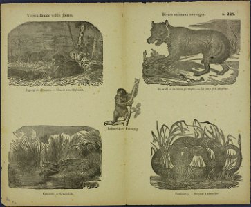 Verschillende wilde dieren-Catchpenny print-Borms 0290