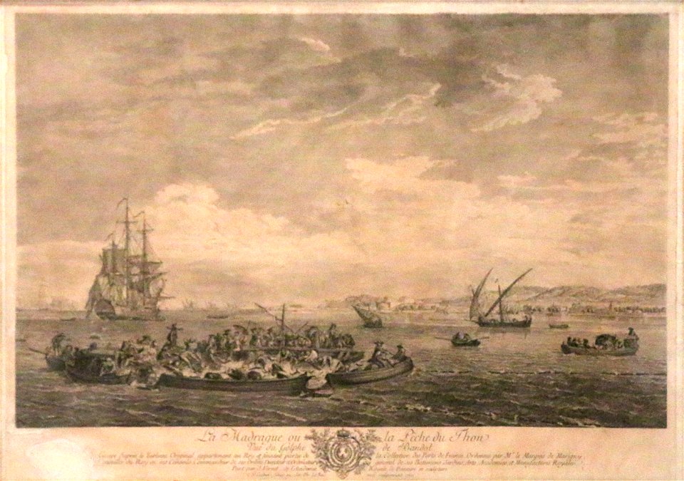 Vernet - Le Bas - Bandol