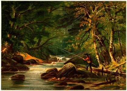 Vermont Scenery, The Trout Stream, Vermont (Boston Public Library)