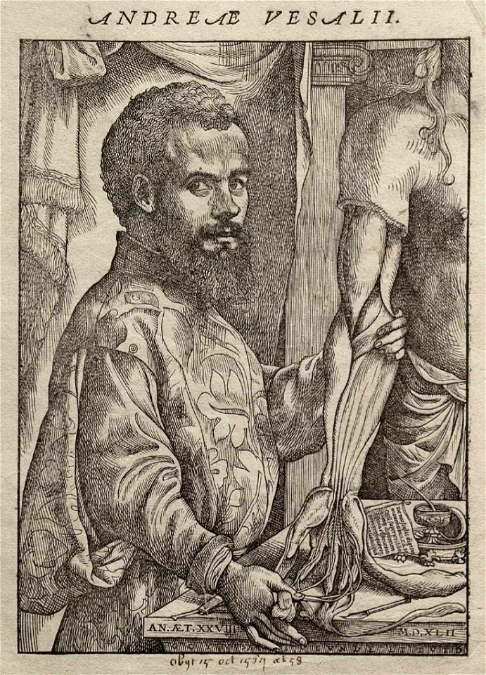 Vesalius Fabrica portrait