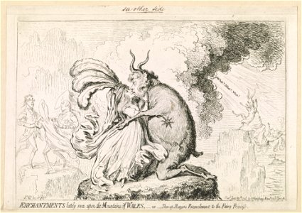 Vices overlook'd in the new proclamation Enchantments lately seen upon the mountains of Wales, - or - Shon-ap-Morgan's reconcilement to the Fairy Princess - - Js. Gy. des. et fect. LCCN2007676258
