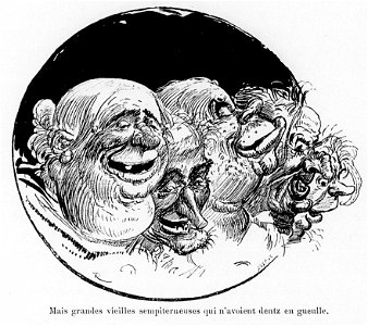 Vieilles sempiterneuses qui n'avaient dents en gueules