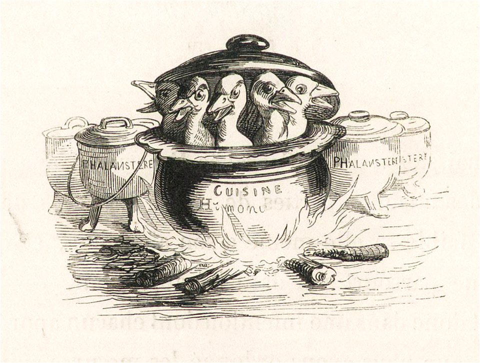 Vie privée canards