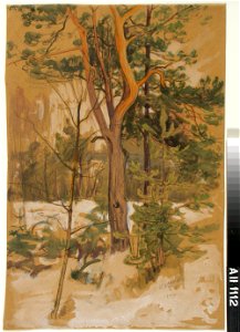 Victor Westerholm - Landscape Study - A II 1112 - Finnish National Gallery