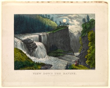 View down the ravine, at Trenton Falls, N.Y. LCCN89712312