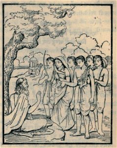 Vidura guidance to Pandavas