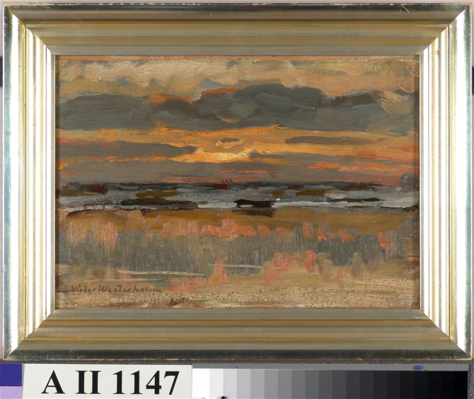 Victor Westerholm - Aurinko laskee pilveen merenrannalla - A II 1147 - Finnish National Gallery
