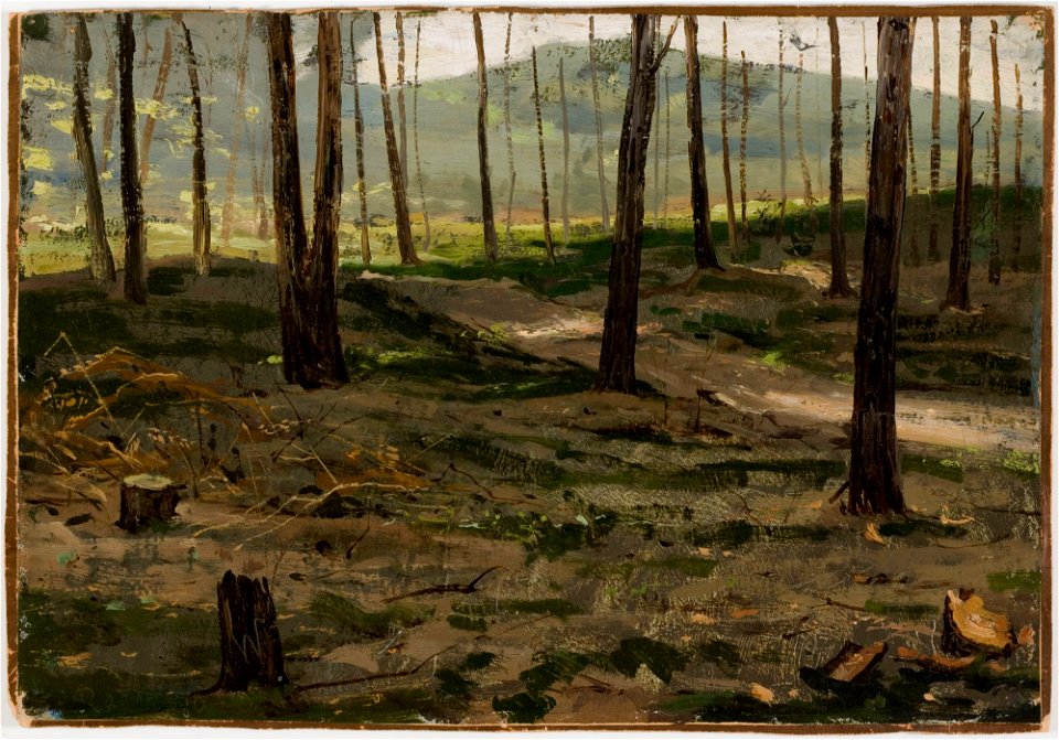Victor Westerholm - Landscape from Rath - A II 1094 - Finnish National Gallery