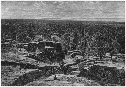 Victor Westerholm Aland