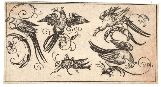 Vier vogels en een sprinkhaan