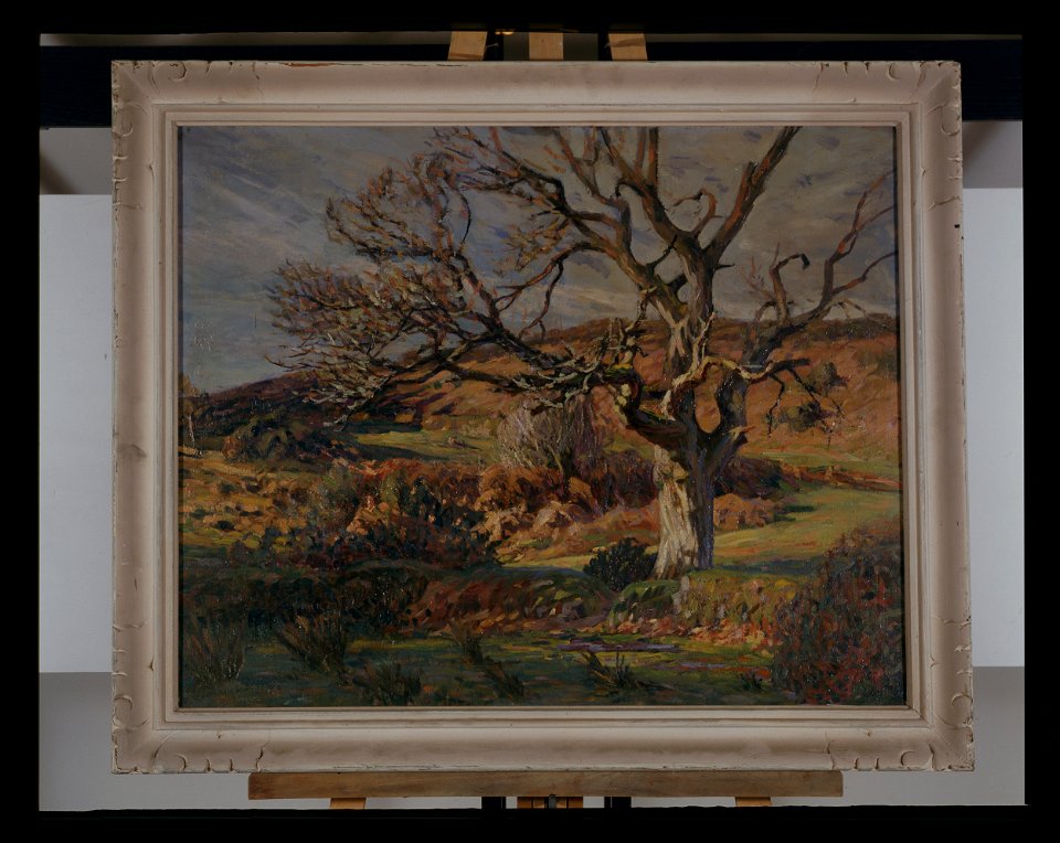 Vieux châtaignier, environs de Guingamp - Louis Desbois - musée d'art et d'histoire de Saint-Brieuc, DOC 88