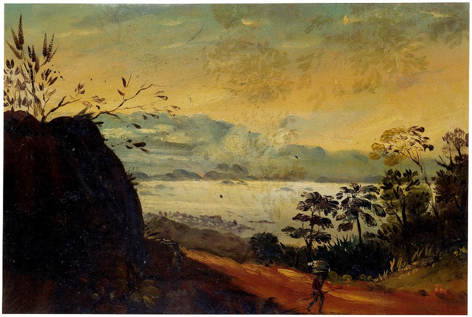View from the Aqueduct, Rio, da Coleção Brasiliana Iconográfica
