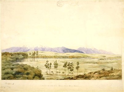 View in the valley of the Waimea River, Nelson district C-025-023