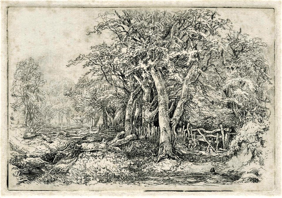 View at Gunton - John Middleton (NMC)