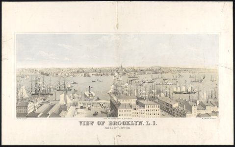 View of Brooklyn, L.I. from U.S. Hotel, New York - drawn from nature & on stone by E. Whitefield ; printed in colors by F. Michelin. LCCN2003672873
