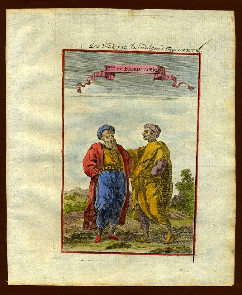 View of Bildulgeridians, 1719