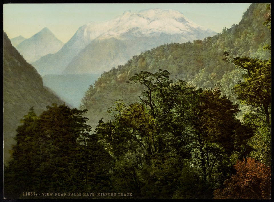 View near Falls Hats, Milford Track LCCN2017658070