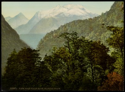 View near Falls Hats, Milford Track LCCN2017658070