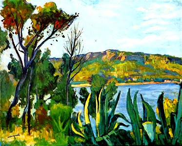 View of Agay Albert Marquet (1905)