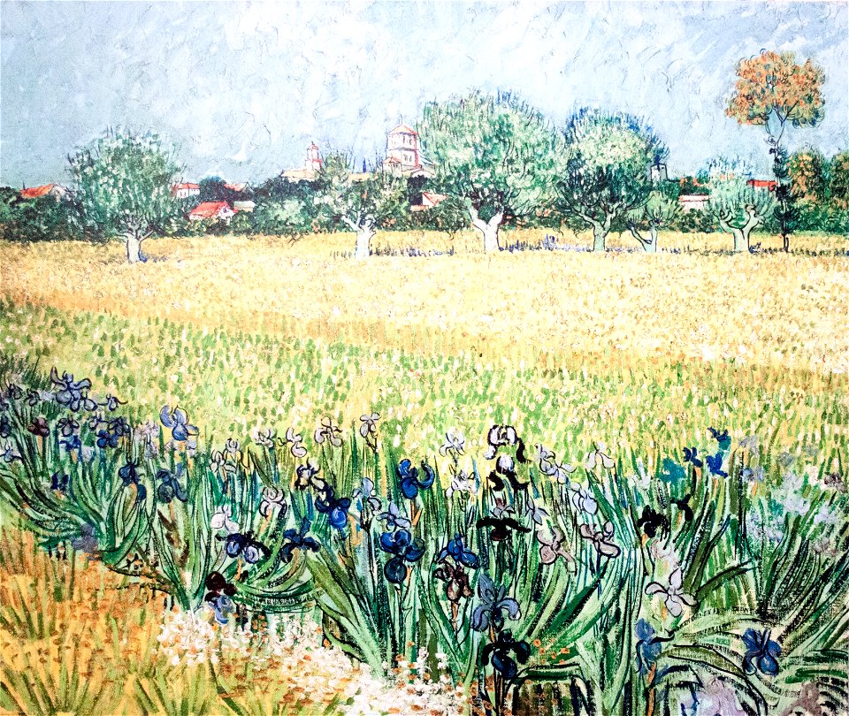 View of Arles with Irises in the Foreground - My Dream