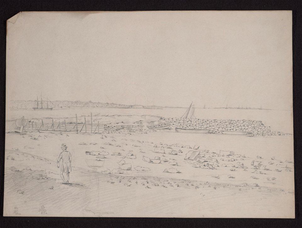 View of Charleston, South Carolina, possibly looking north toward Sullivan's Island LCCN2009631966